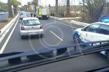 Caída de una palmera en la Avenida del Cabildo/TA.